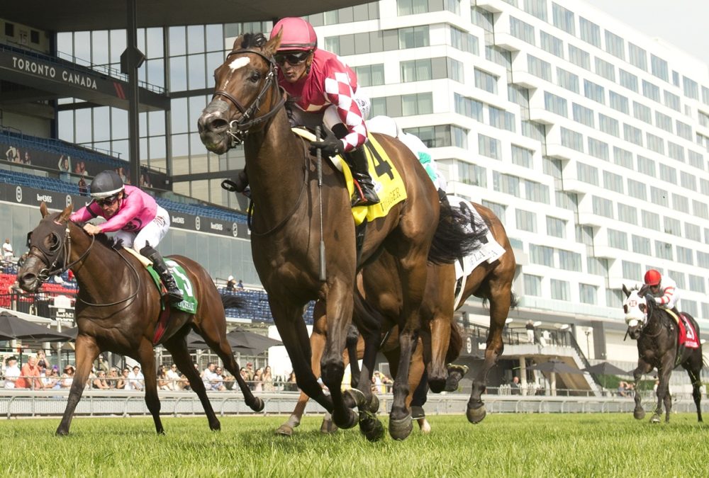 Voyager – Natalma G1 – MICHAEL BURNS - WOODBINE