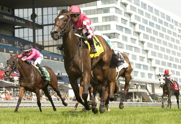 Voyager – Natalma G1 – MICHAEL BURNS - WOODBINE