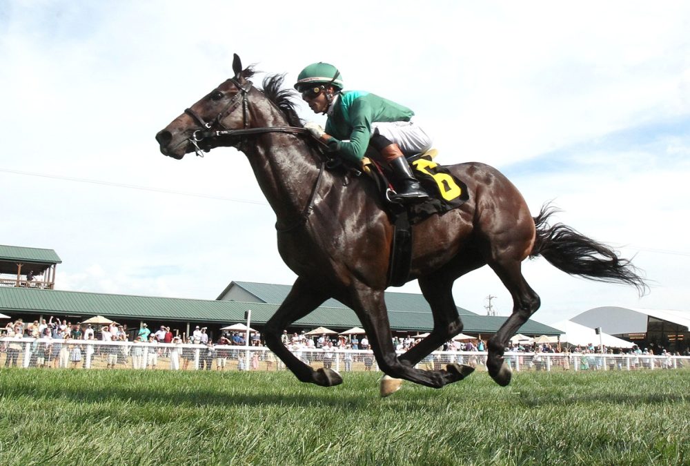 BOTTAS – The KTDF Runner – Kentucky Downs – Coady Media