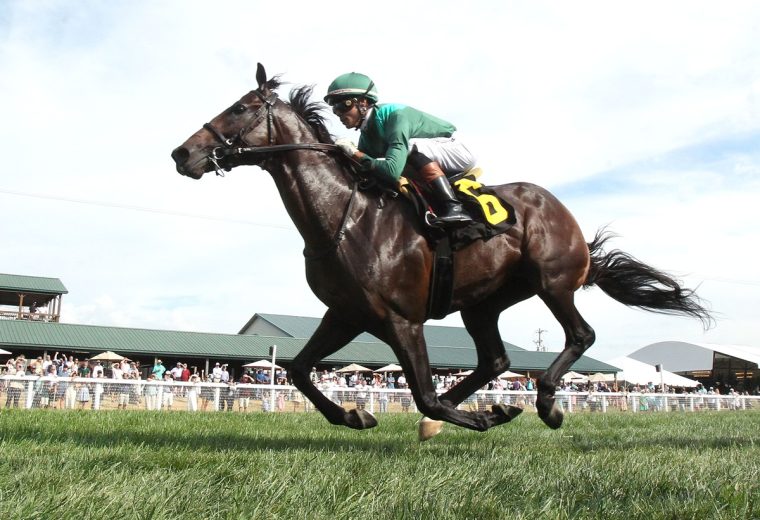 BOTTAS – The KTDF Runner – Kentucky Downs – Coady Media