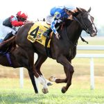 CCAROLINE ST BEAT – The 1 ST BET Nashville Derby Invitational G2 – Kentucky Downs – Coady Media / Renee Torbit
