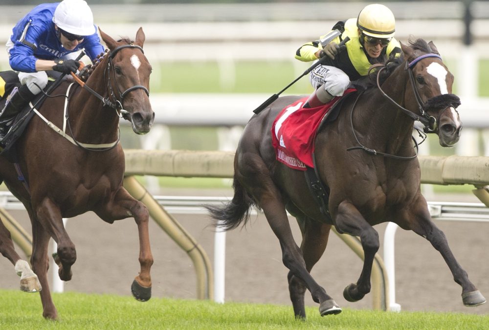 GIMME A NOTHER (SAF) - E P TAYLOR G1 - MICHAEL BURNS - WOODBINE