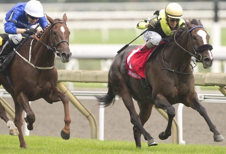GIMME A NOTHER (SAF) - E P TAYLOR G1 - MICHAEL BURNS - WOODBINE