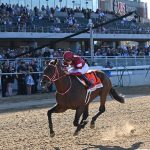 Forever Young JPN - Jockey Club Gold Cup G1 - Chelsea Durand - Coglianese Photo