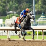 Forged Steel – Goodwood Stakes G1 – Santa Anita Park – BENOIT Photo