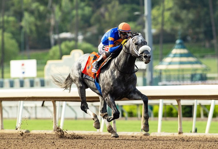 Forged Steel – Goodwood Stakes G1 – Santa Anita Park – BENOIT Photo