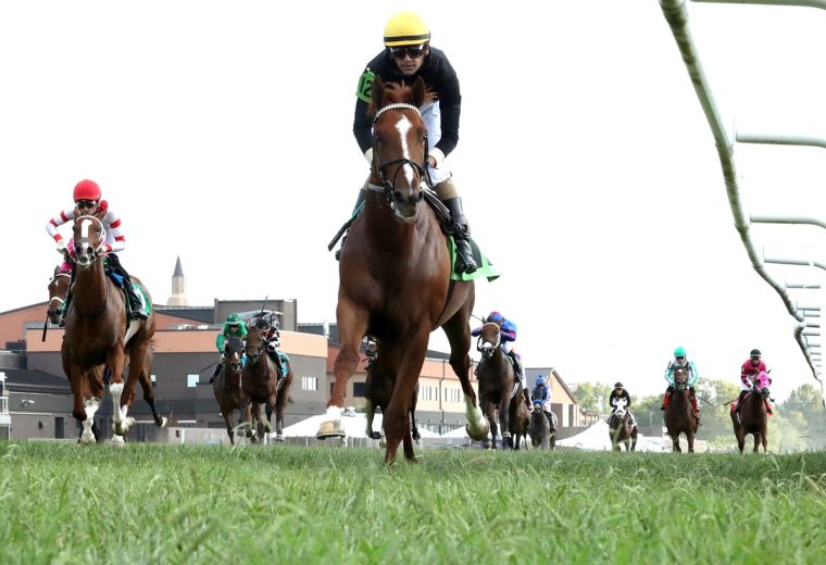 'S AL TODAY - The Pepsi Kentucky Downs Juvenille Mile - Kentucky Downs - Coady Media - Renee Torbit