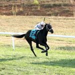 KENTUCKY BELLE - The Blackwood Dueling Grounds Oaks Invitational G3 - Kentucky Downs - Coady Media