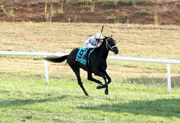 KENTUCKY BELLE - The Blackwood Dueling Grounds Oaks Invitational G3 - Kentucky Downs - Coady Media