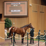 Hip 84, a Gun Runner colt sold for $2.8 million - Keeneland Sales 2026