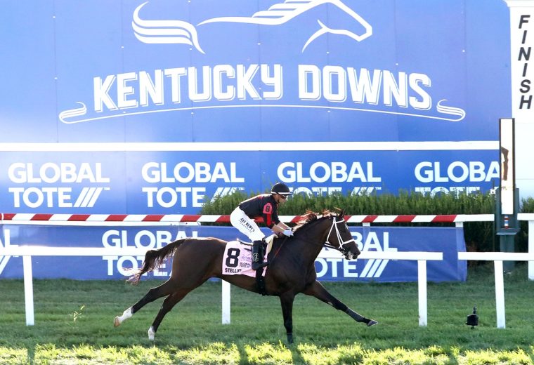 STELLIFY – The Global Tote Kentucky Downs Ladies Marathon Invitational G3 – Kentucky Downs – Coady Photo
