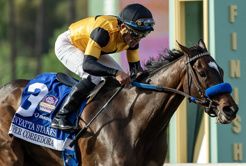 Super Corredora – Zenyatta Stakes G2 – Benoit Photo