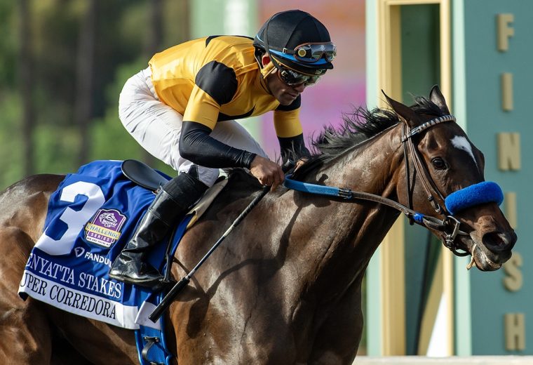 Super Corredora – Zenyatta Stakes G2 – Benoit Photo