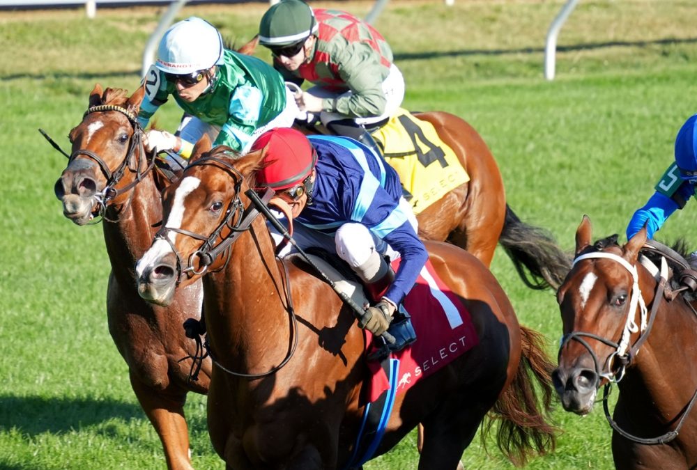 Adonius (Ire) – Indian Summer Stakes G3 – Keeneland – Coady Media
