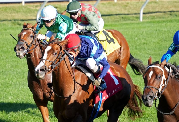 Adonius (Ire) – Indian Summer Stakes G3 – Keeneland – Coady Media