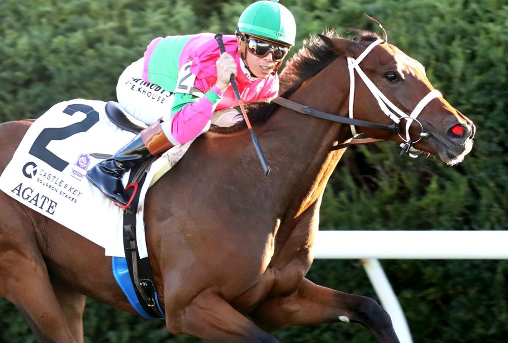 Agate – Castle & Key Bourbon Stakes G1 – Keeneland – Coady Media