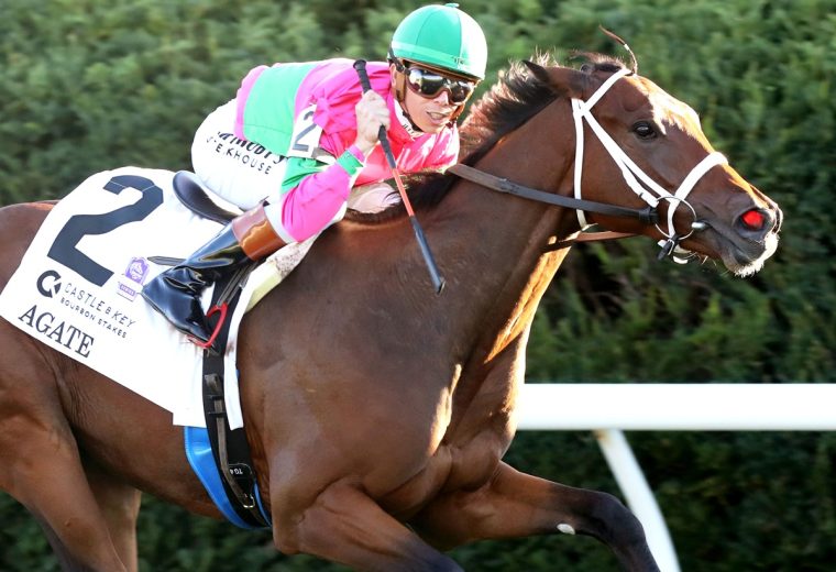 Agate – Castle & Key Bourbon Stakes G1 – Keeneland – Coady Media