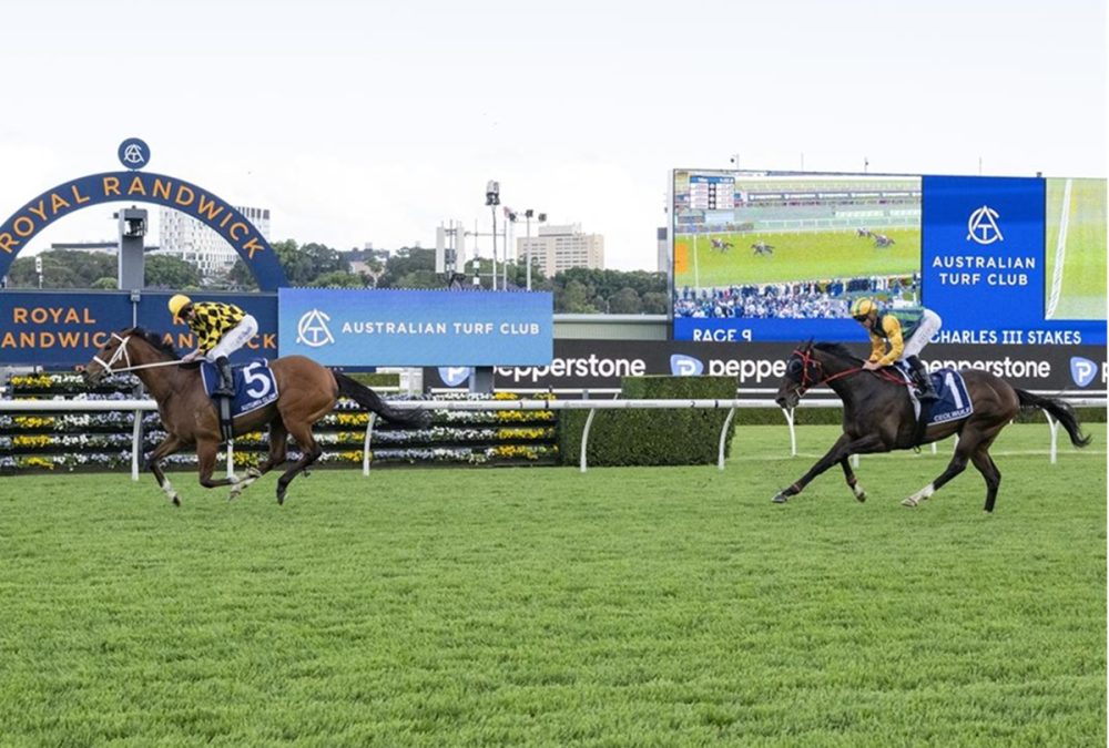 Autumn Glow (Ire) – Caulfield Cup G1 – Foto vía ©️Sky Racing World. Derechos reservados.