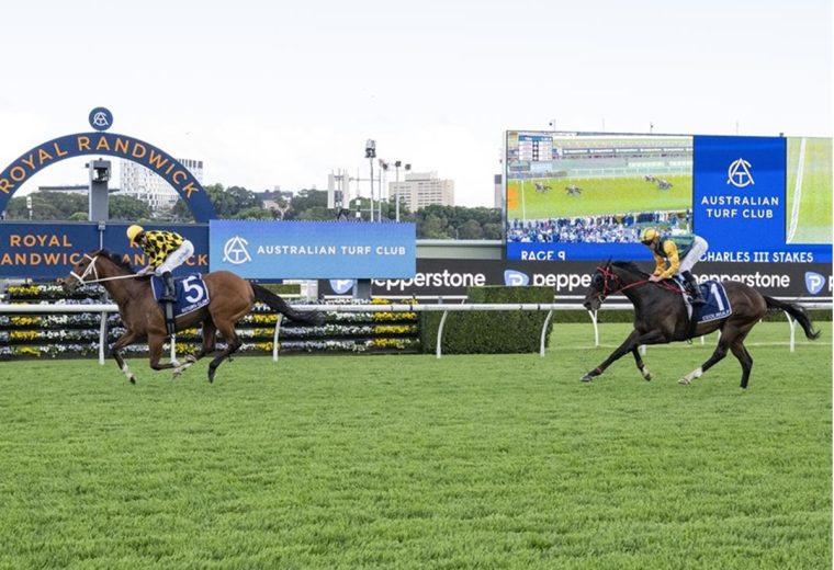 Autumn Glow (Ire) – Caulfield Cup G1 – Foto vía ©️Sky Racing World. Derechos reservados.