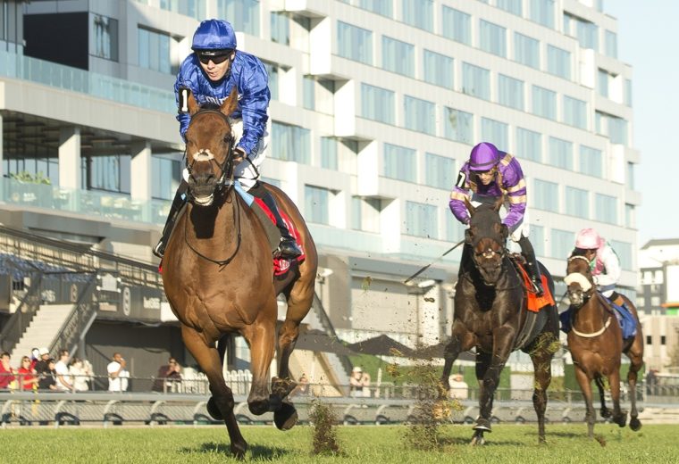 Arabian Crown - Grade 1 Canadian International Championship - Woodbine/ Michael Burns Photo