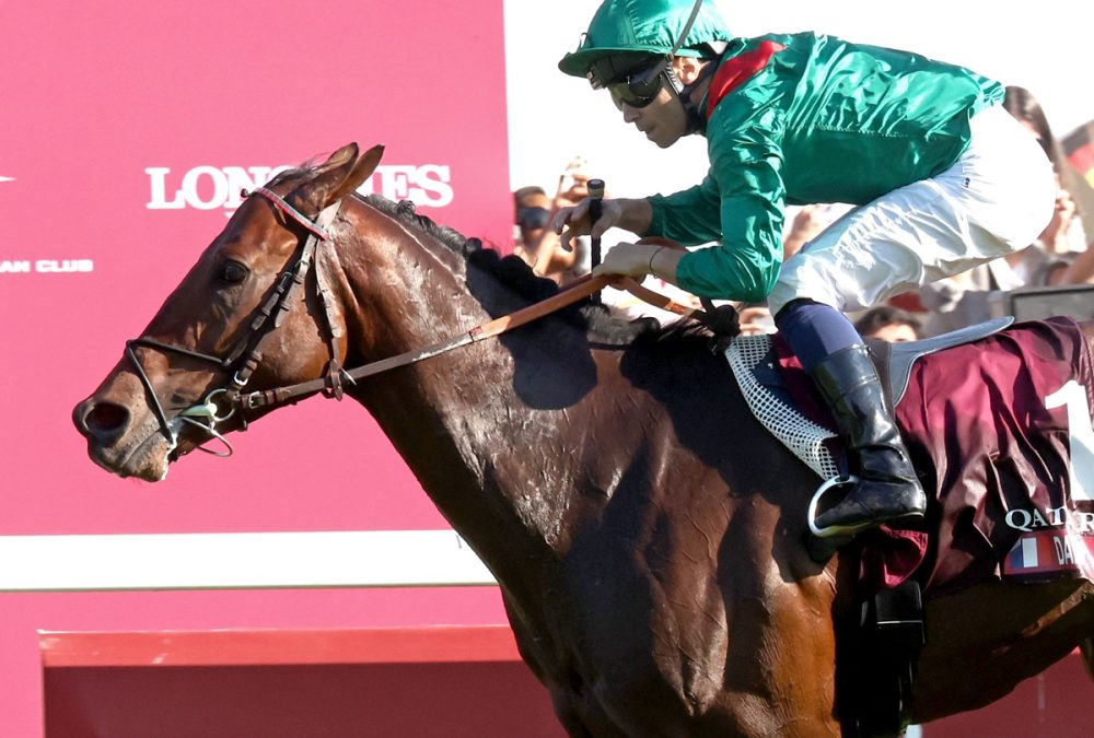 DARYZ ( FR) – G1 Qatar Prix de l’Arc de Triomphe – Longchamp – Coady Media