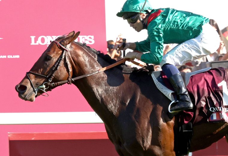DARYZ ( FR) – G1 Qatar Prix de l’Arc de Triomphe – Longchamp – Coady Media