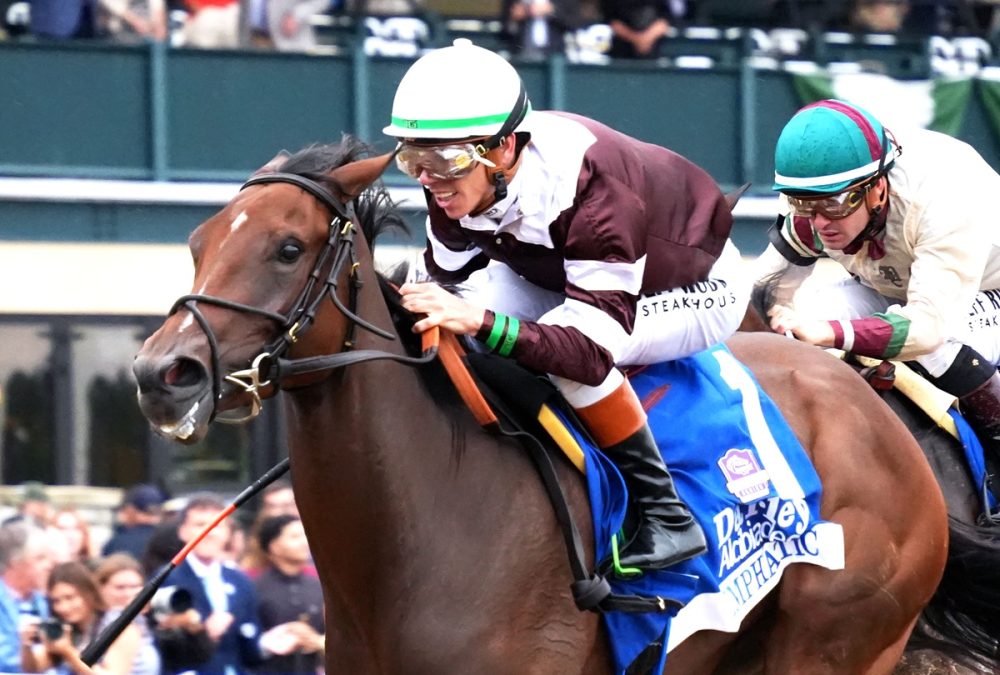EMPHATIC - The Darley Alcibiades G1 - Yeruza Rodriguez - Coady Media