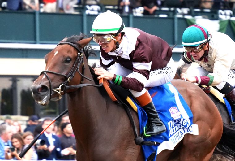 EMPHATIC - The Darley Alcibiades G1 - Yeruza Rodriguez - Coady Media