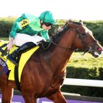 HAFFNER - Breeders' Cup Juvenile Turf G1 - - Keeneland - Renee Torbit - Coady Media