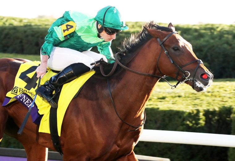 HAFFNER - Breeders' Cup Juvenile Turf G1 - - Keeneland - Renee Torbit - Coady Media