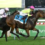 Kathynmarissa - Flower Bowl G2 - credit Susie Raisher - Coglianese photo