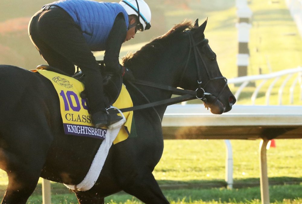 Knightsbridge, ejercicios Breeders' Cup 2026 - Coady Media