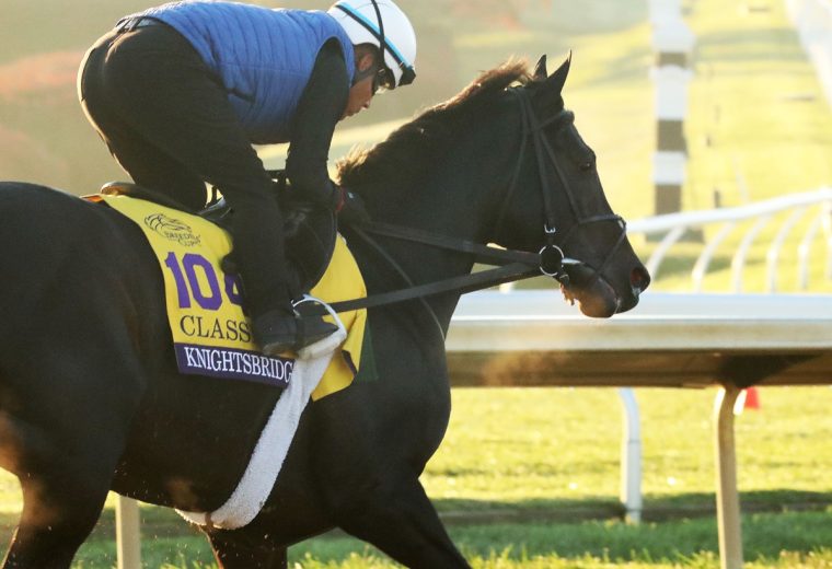 Knightsbridge, ejercicios Breeders' Cup 2026 - Coady Media