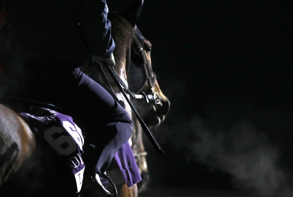 Breeders' Cup 2026 mornings workouts - Coady Media