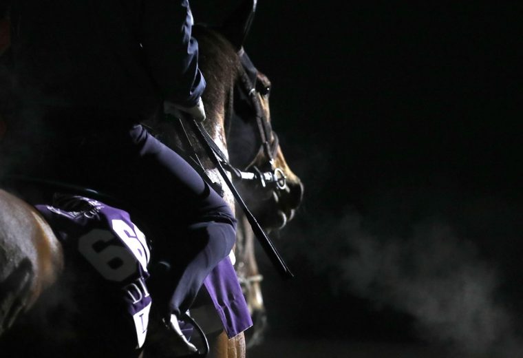 Breeders' Cup 2026 mornings workouts - Coady Media