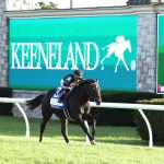 RHETORICAL - The Coolmore Turf Mile G1 - Keeneland Race Course - Stephen Ibanez / Coady Media