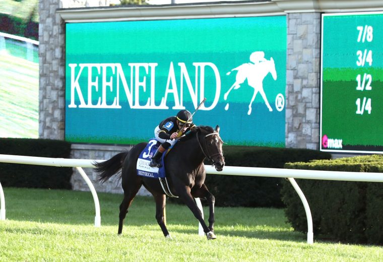 RHETORICAL - The Coolmore Turf Mile G1 - Keeneland Race Course - Stephen Ibanez / Coady Media