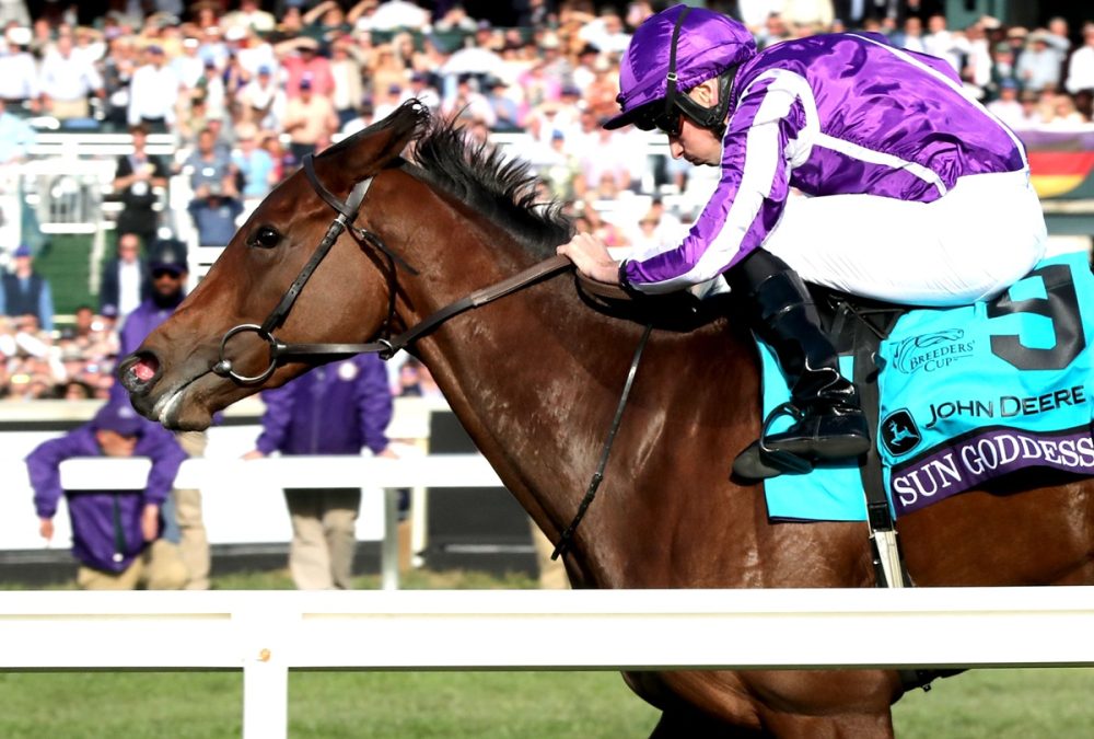 SUN GODDESS - Breeders’ Cup Juvenile Fillies Turf G1 - Keeneland Race Coady Media - Shawn Coady