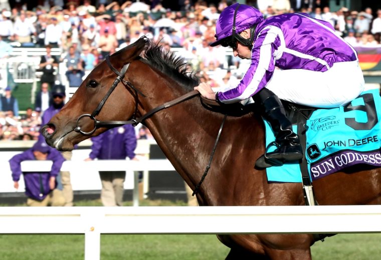 SUN GODDESS - Breeders’ Cup Juvenile Fillies Turf G1 - Keeneland Race Coady Media - Shawn Coady