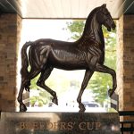 Breeders' Cup - Keeneland - Coady Media