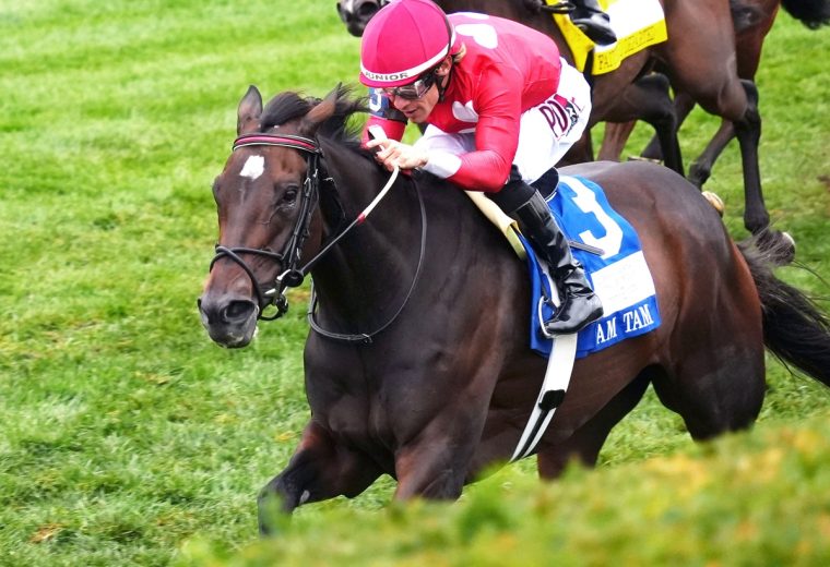 Tam Tam – Queen Elizabeth II Challenge Cup Stakes G1 – Keeneland – Coady Media