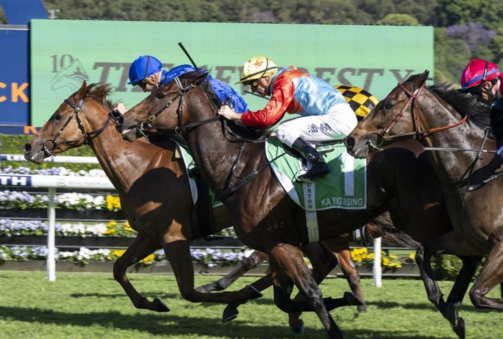 Tempted (Aus) – The Everest G1 – Royal Randwick – Foto vía ©️Sky Racing World. Derechos reservados.
