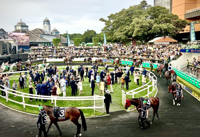 Royal Randwick, sede del TAB Everest AUS$20M. Photo credit: Roberto L. Rodriguez