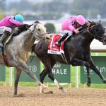 T Kraft - the Vosburgh - Coglianese Photo